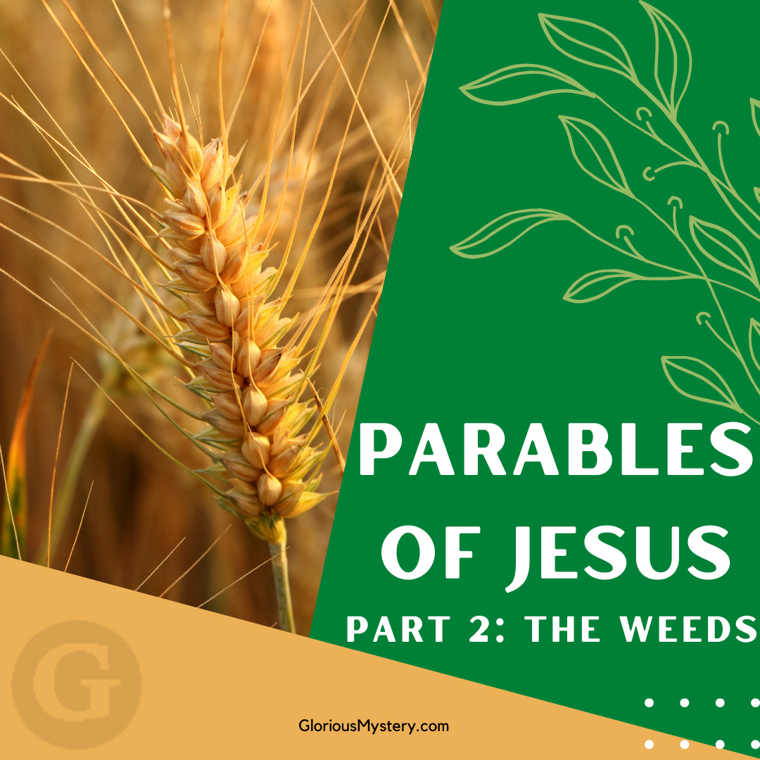 Parables Part 2