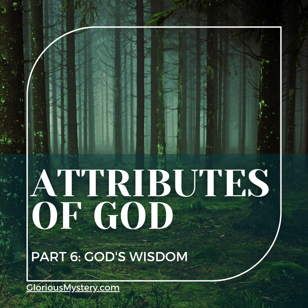 God's wisdom